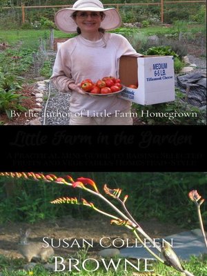 cover image of Little Farm in the Garden
